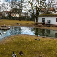 Hattersheim