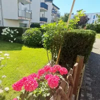 Garten im grünen 