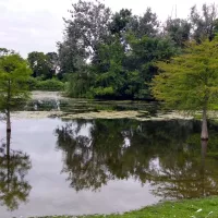 IMG_20210701_160919674_HDR