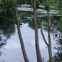 IMG_20210701_161212804