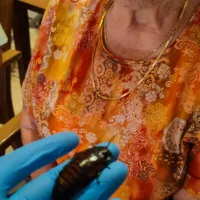 Thementag Madagaskar 02.09 (5)
