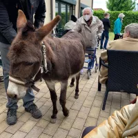 Toms Farm & Uwe aus Ingelheim 15.05 (54)