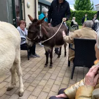 Toms Farm & Uwe aus Ingelheim 15.05 (55)
