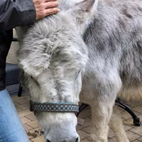 Toms Farm & Uwe aus Ingelheim 15.05 (57)
