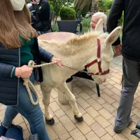 Toms Farm & Uwe aus Ingelheim 15.05 (59)