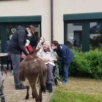 Toms Farm & Uwe aus Ingelheim 15.05 (69)