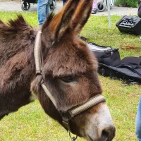 Toms Farm & Uwe aus Ingelheim 15.05 (71)