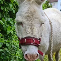 Toms Farm & Uwe aus Ingelheim 15.05 (72)