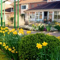 Buxtehude im Frühling