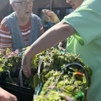 hochkenzentriert wird am Maikranz gearbeitet