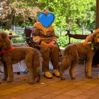 drei Personen mit zwei Hunden