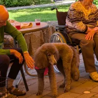 mehrere Menschen mit einem Hund