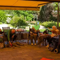 viele Menschen und zwei Hunde im Stuhlkreis