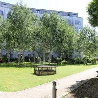 Grüne Gartenanlage