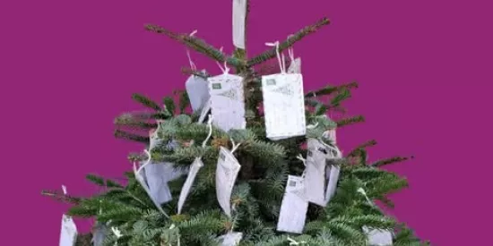 Der Wünschebaum steht am Eingang des Seniorenheims 