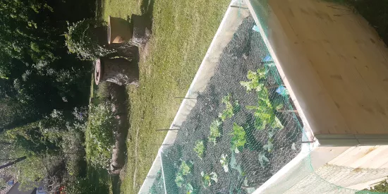 gar