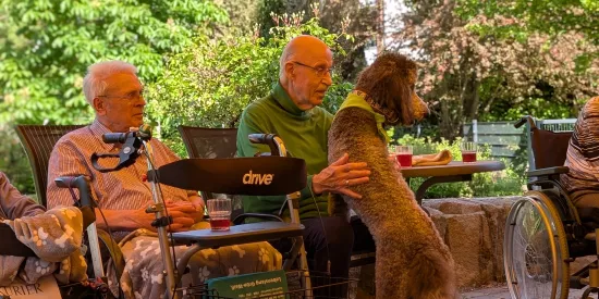 2 Männer und ein Hund auf Stühlen