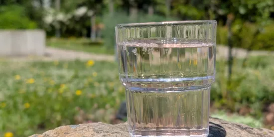Ein Glas auf einem Stein