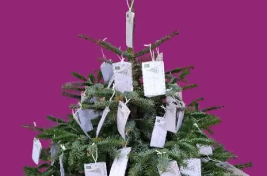 Der Wünschebaum steht am Eingang des Seniorenheims 