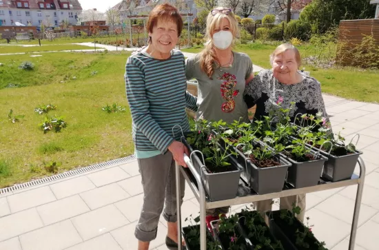Garten 6