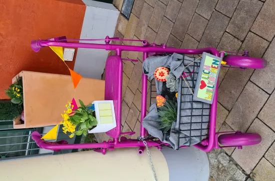 Rollator März 2021 (5)
