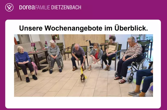 Wochenplan Website Beitragsbild