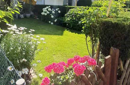 Ansicht Haus 45