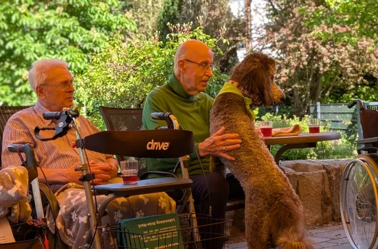2 Männer und ein Hund auf Stühlen